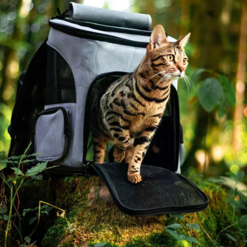 Katzenrucksack – PurrPack™