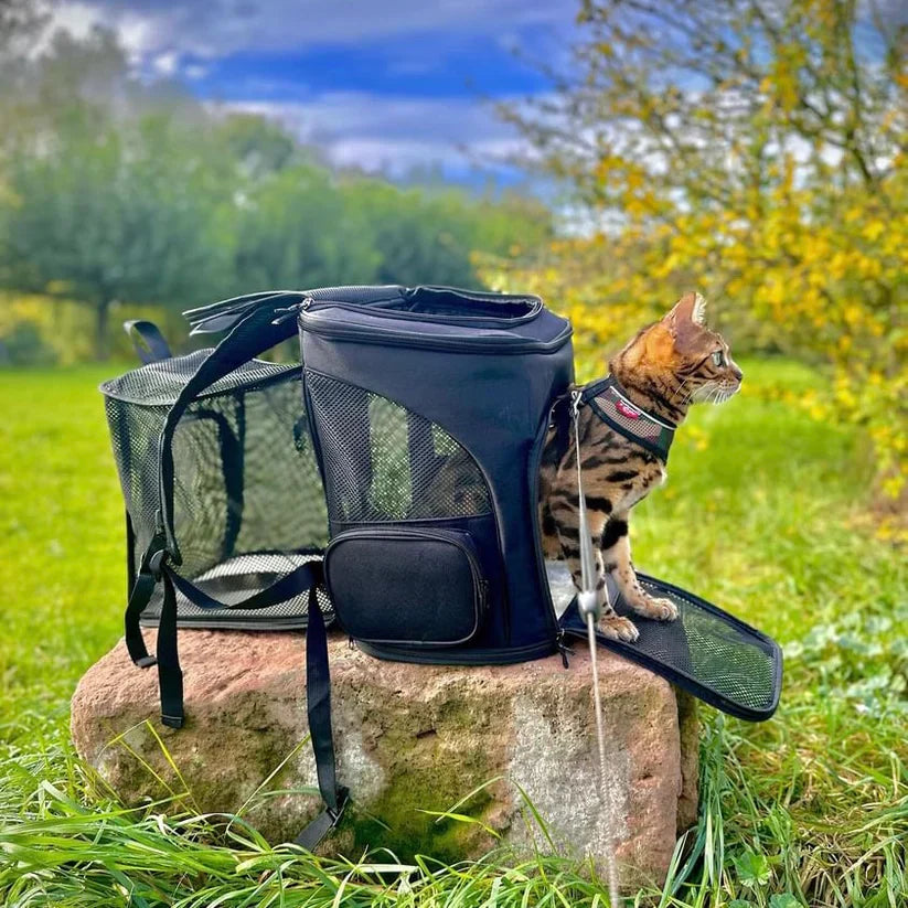 Katzenrucksack – PurrPack™