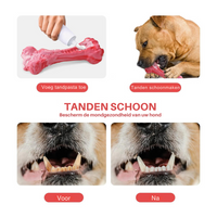 Der Verspielte Zahnpfleger für Hunde – BuddyChew