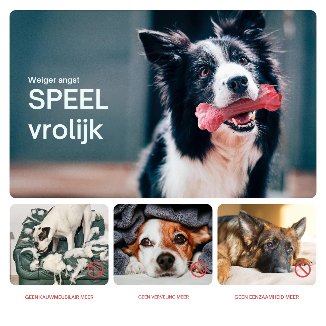 Der Verspielte Zahnpfleger für Hunde – BuddyChew