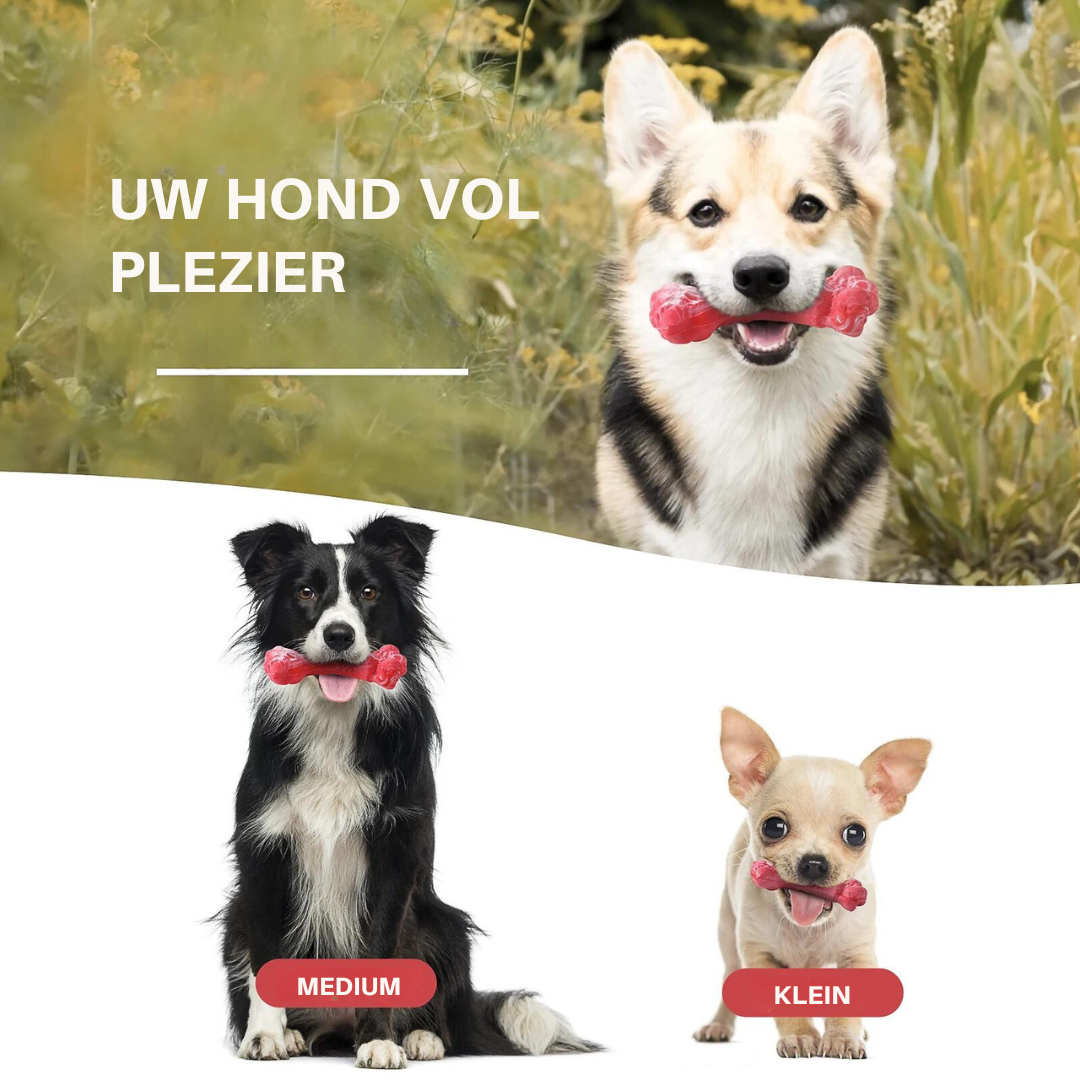 Der Verspielte Zahnpfleger für Hunde – BuddyChew