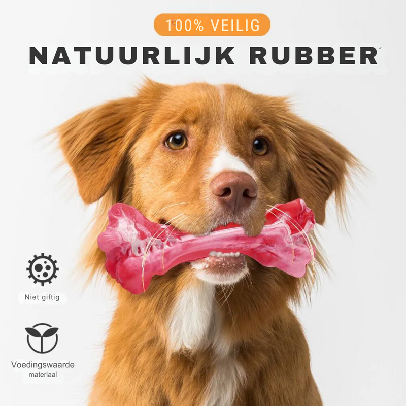 Der Verspielte Zahnpfleger für Hunde – BuddyChew