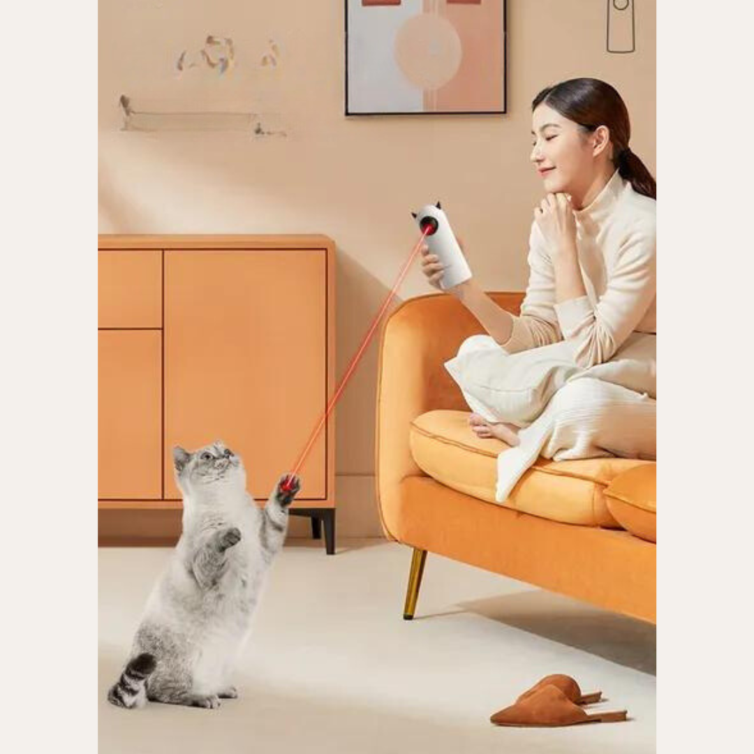 Interaktives Laser-Katzenspielzeug – LaserPaw