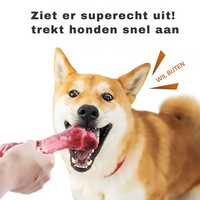 Der Verspielte Zahnpfleger für Hunde – BuddyChew