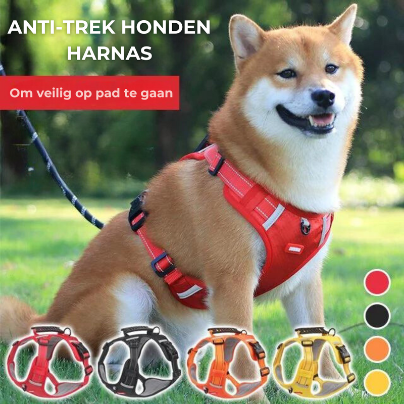 Robustes & Komfortables Hundegeschirr - ActivePup™