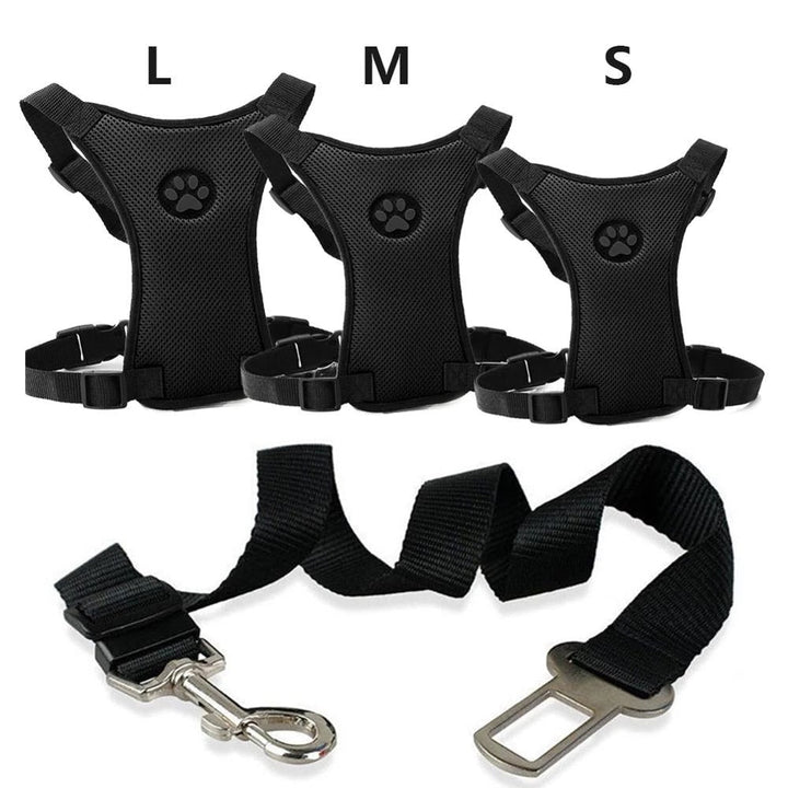 Car seatbelt with comfortable chest harness for dogs - PawSafe