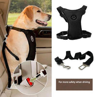 Car seatbelt with comfortable chest harness for dogs - PawSafe