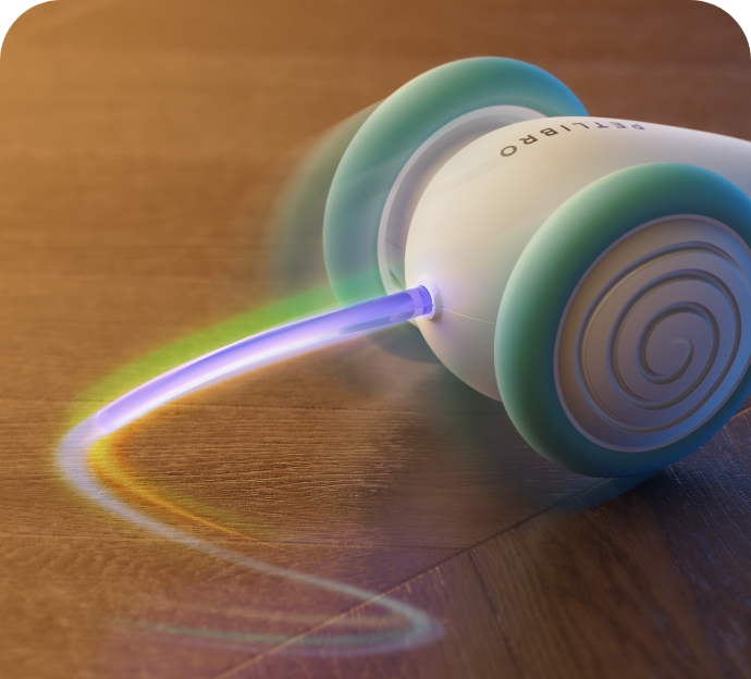 Das Ultimative Kauspielzeug für Katzen – WhiskerPlay