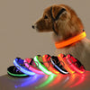 Hundehalsband mit LED-Beleuchtung - GlowCollar