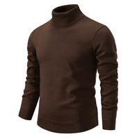 Weicher & Bequemer Herren Rollkragenpullover aus Baumwolle – Jonas