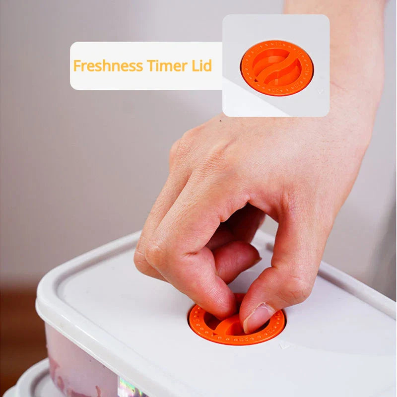 Bento Food Storage Container - FreshKeeper