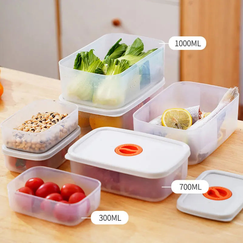 Bento Food Storage Container - FreshKeeper