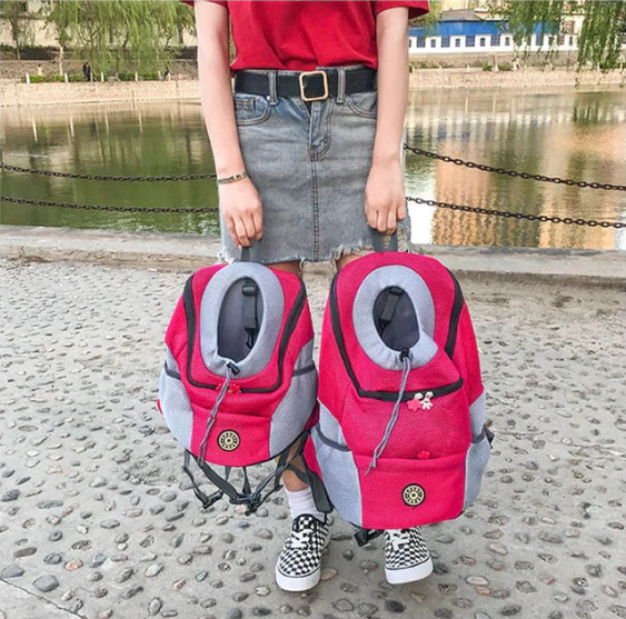 Abenteuerlicher Haustier Rucksack - TrekPaws