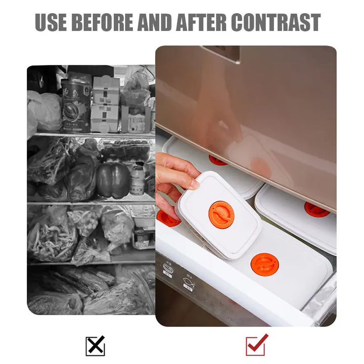 Bento Food Storage Container - FreshKeeper