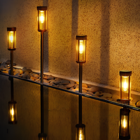 Solarenergie Gartenfackel - SolarFlare