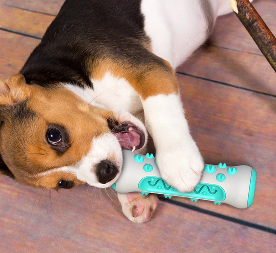 Tooth-cleaning Chew Toy for Dogs – Chewly