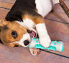 Zahnreinigendes Kauspielzeug für Hunde – Chewly