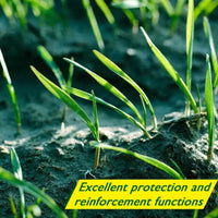 Biodegradable Grass Seed Mat - Verdi