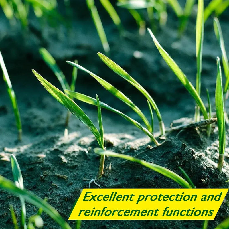 Biodegradable Grass Seed Mat - Verdi