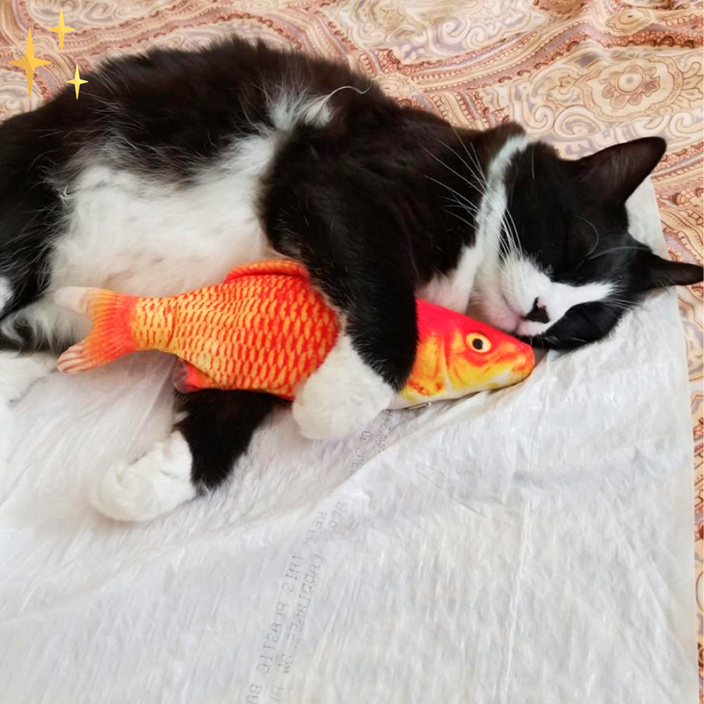 Set aus 4 Beweglichen Fischen Spielzeugen für Katzen - FitFish