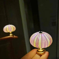 DIY Seeigel Nachtlicht - LumiUrchin