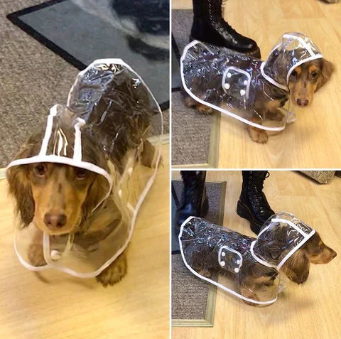 Transparente Wasserdichte Regenjacke für Hunde - DryPaw