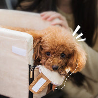 Portable Travel Box for Small Dogs – TravelBuddy