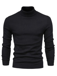 Trendy Herren Rollkragenpullover - Lars