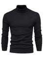 Trendy Herren Rollkragenpullover - Lars