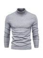 Trendy Herren Rollkragenpullover - Lars