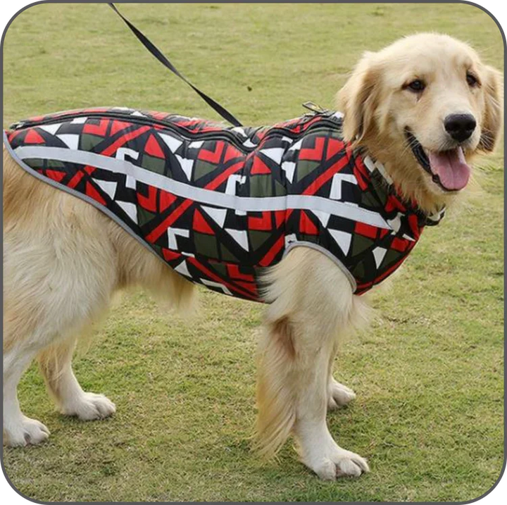 Wasserdichte Winterjacke für Hunde – StormGuard