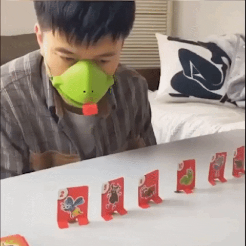 Aktives Froschspiel für Jung und Alt – FrogFlip