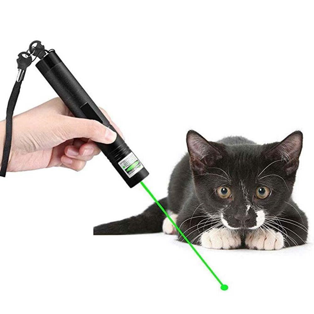 Kraftvoller Laserpointer - PrecisionBeam