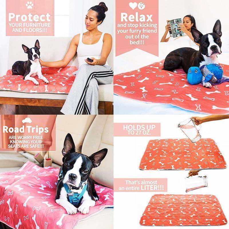 Reusable Mat for Dogs - EcoPad