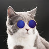 Trendy Katzenbrille - KittyShades