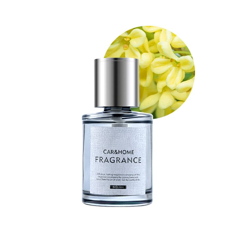 Luxe Duftzerstäuber für ein Frisches Auto - AromaDrive