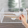 Tierschonende Vogelfalle mit Rückschlagsicherung – BirdSafe Falle