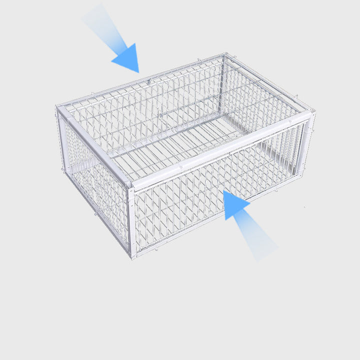 Tierschonende Vogelfalle mit Rückschlagsicherung – BirdSafe Falle