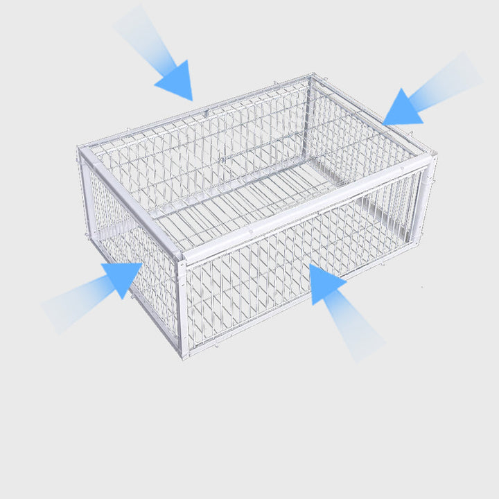 Tierschonende Vogelfalle mit Rückschlagsicherung – BirdSafe Falle