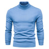 Johan Rollkragenpullover | Stylischer Pullover mit kleinem Rollkragen