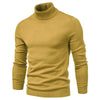 Johan Rollkragenpullover | Stylischer Pullover mit kleinem Rollkragen