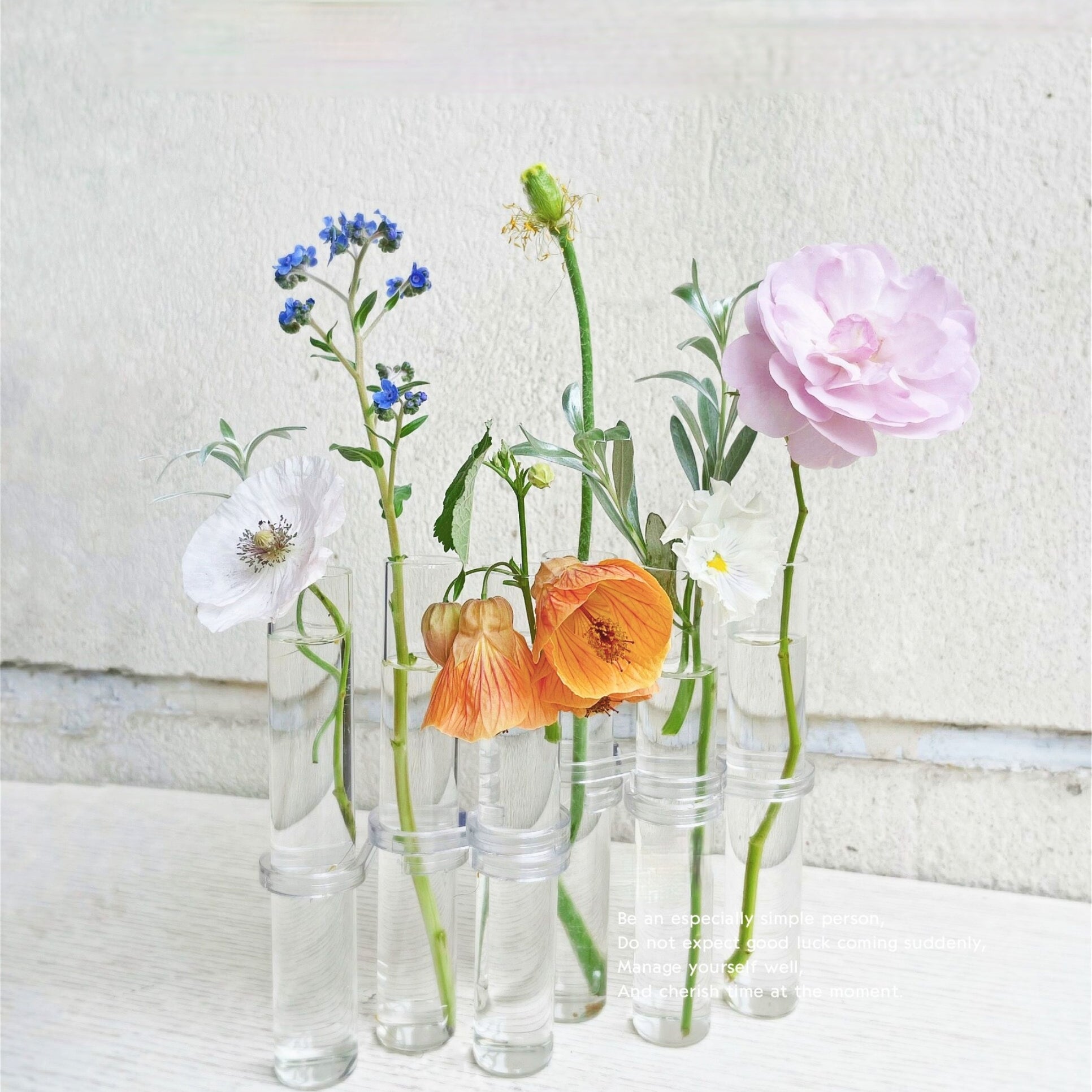 Rosenthal Glow | Glas Vase Tube Set Hängende Blumenhalter