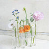 Rosenthal Glow | Glas Vase Tube Set Hängende Blumenhalter