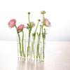 Rosenthal Glow | Glas Vase Tube Set Hängende Blumenhalter