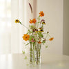 Rosenthal Glow | Glas Vase Tube Set Hängende Blumenhalter