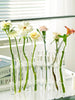 Rosenthal Glow | Glas Vase Tube Set Hängende Blumenhalter